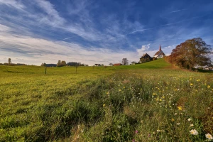 Jak firma budowlana powinna wycenić projekt: porady dla kosztorysantów